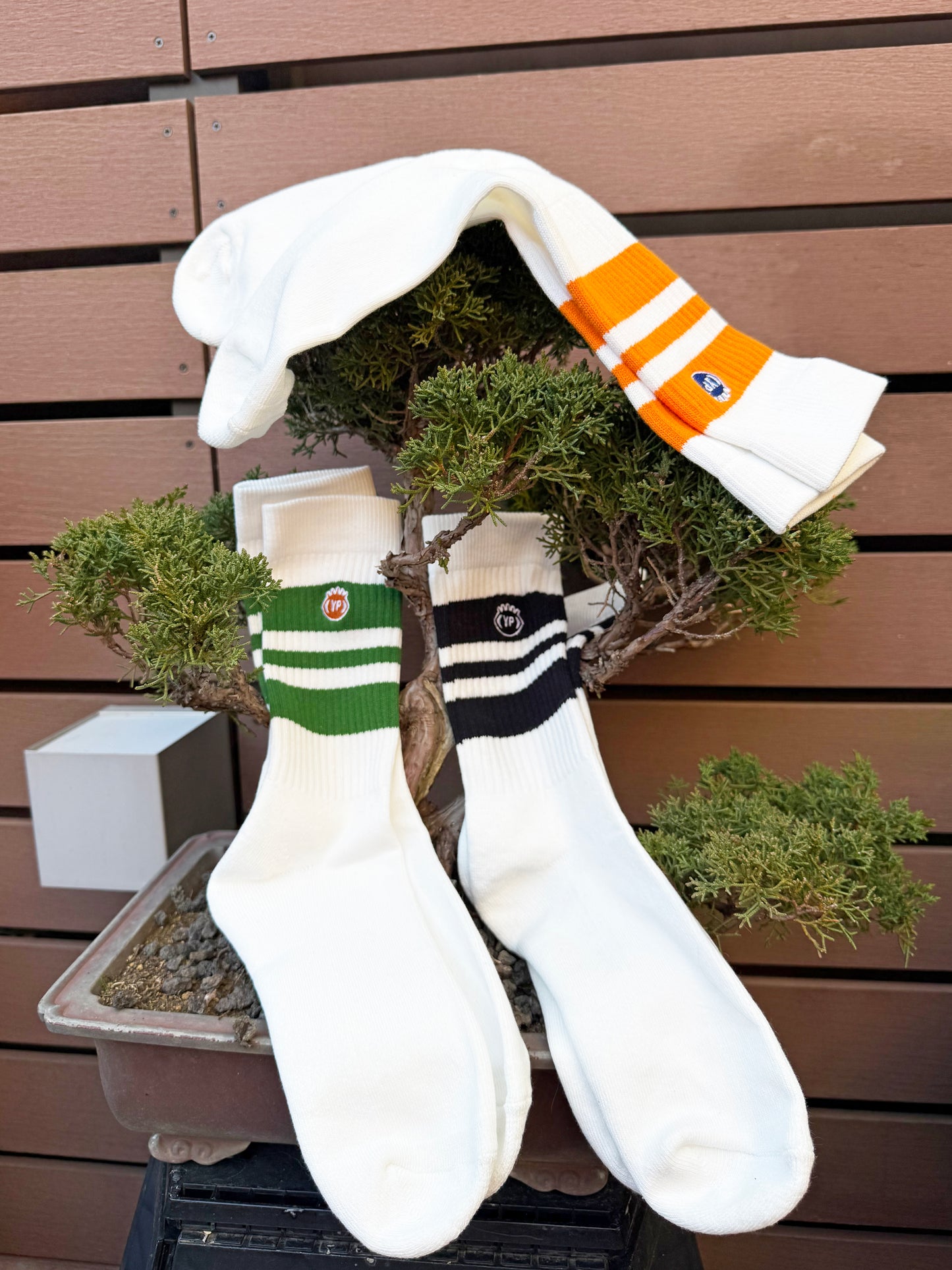 MADE IN YP ソックス：3足組