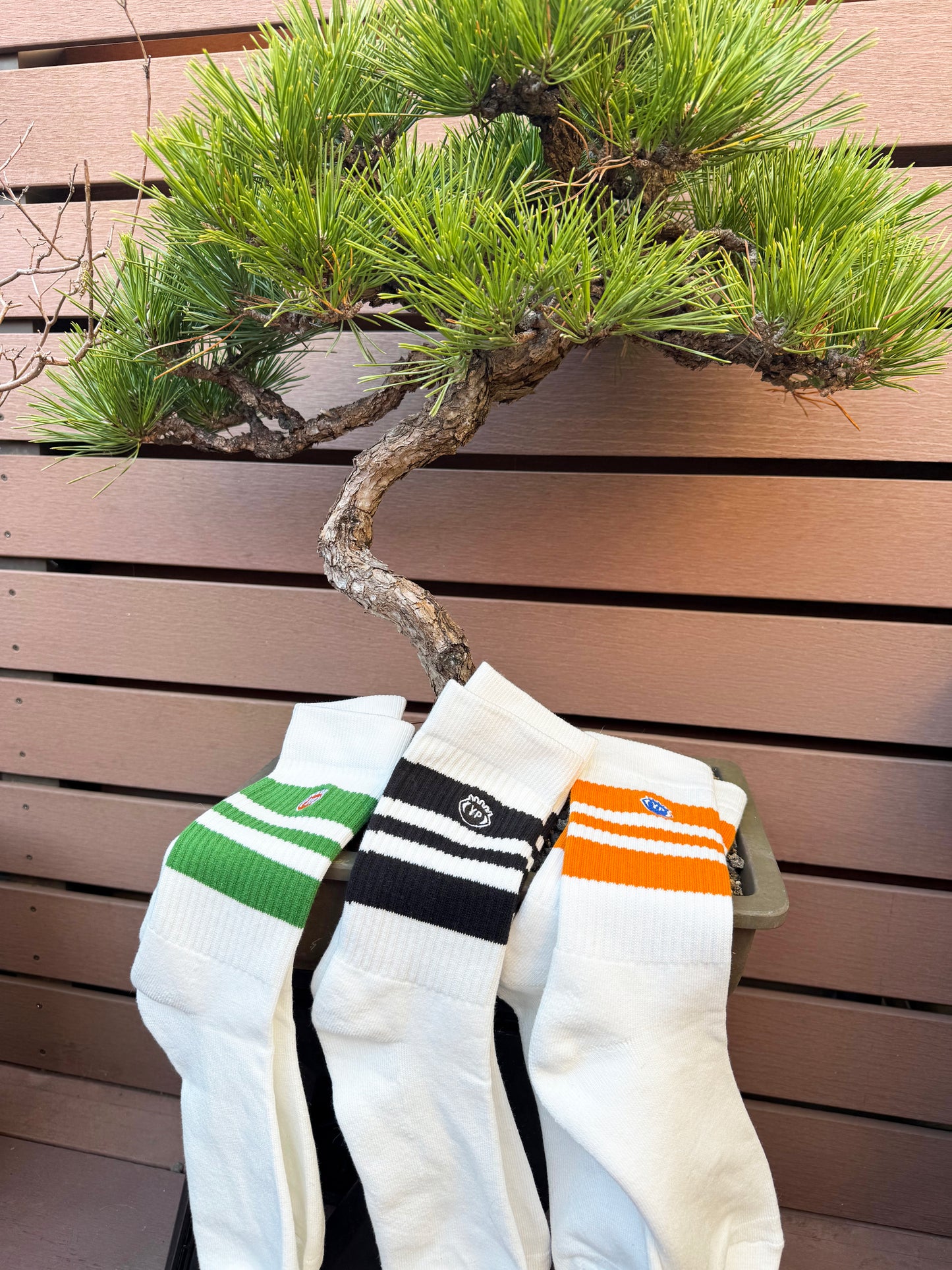 MADE IN YP ソックス：3足組